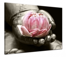 PINK LOTUS FLOWER