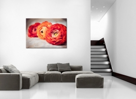 Pioenrozen op canvas