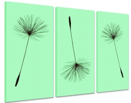 Drieluik Canvas Paardenbloem Pluisjes