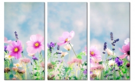 Wild Flowers