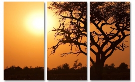 African Sunset