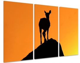 De Klipspringer