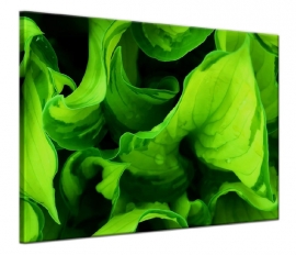 Groene Bladeren Art Print
