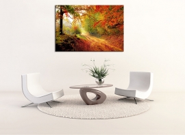 Canvasdoek Herfst