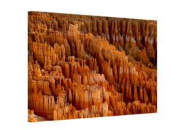 Bryce Canyon : foto schilderij op canvas