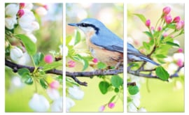 Vogel in lente: foto schilderij