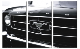 Schilderij Mustang Zwart Wit