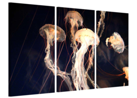 Jellyfish Dream: foto schilderij