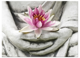 Lotus Blume Buddha