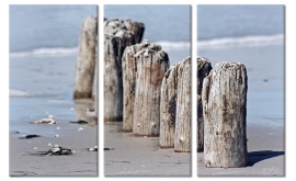 Schilderij Meerpalen Strand