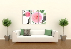 Ruhige Malerei-weiche rosa Blume
