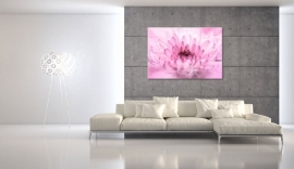 Schilderij Roze Chrysant