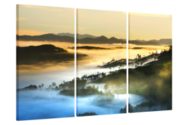 Mountain mist