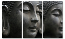 Buddha`s Gaze