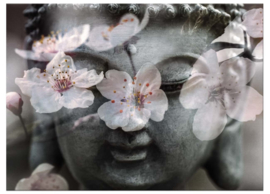 Cherry Blossom Buddha op canvas