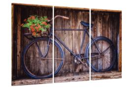 Retro fiets: canvas doek