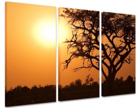 African Sunset