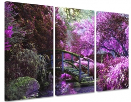 Schilderij park met paarse bomen