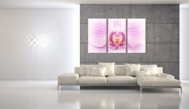 Canvas schilderij Orchidee