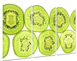 Kiwi Schilderij