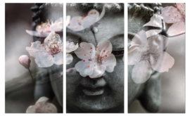 Cherry Blossom Buddha op canvas