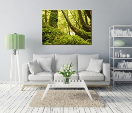 Canvas schilderij Beautiful Nature