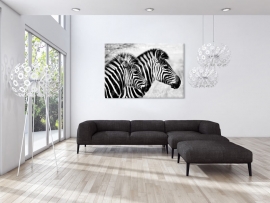 Schilderij Zebra Tweetal