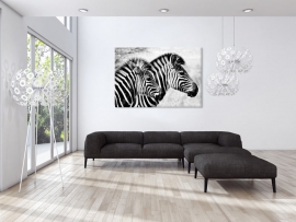 Duo Zebra