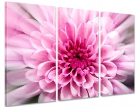 Canvas schilderij Pink Flower