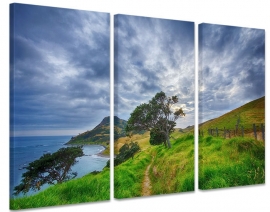 Schilderij landschap Nieuw-Zeeland