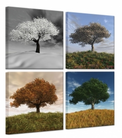 Seasons Vierluik op canvas