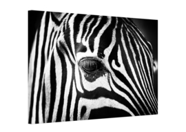 Canvas Schilderij Zebra Close Up