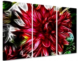 Blume Abstract