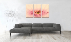 Canvas Schilderij Roze Gerbera