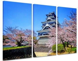 Kumamoto Castle Japan