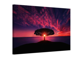 Purple sunset: foto schilderij