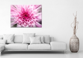 Canvas schilderij Pink Flower