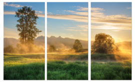 Foto schilderij misty field