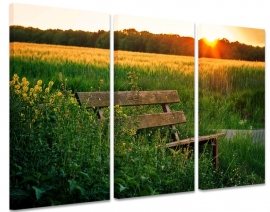 Wanddecoratie Bankje in de Natuur