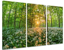 Schilderij Bloemen in het Bos