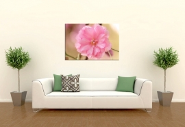 Bloemen Art Print Blossom