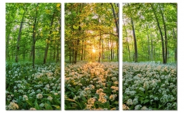 Schilderij Bloemen in het Bos