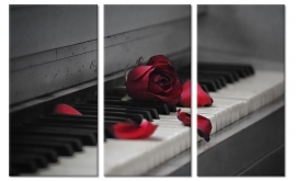 Rose auf altem Klavier