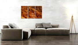 Bryce Canyon : foto schilderij op canvas