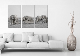 Schwarz-weiße Malerei Elefanten