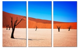 Schilderij Sossusvlei Namibie