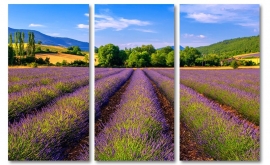 Provence