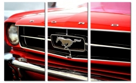 Ford Mustang rot