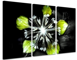 Schilderij Design Bloem Modern