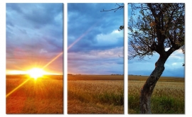 Schilderij Zomers Landschap